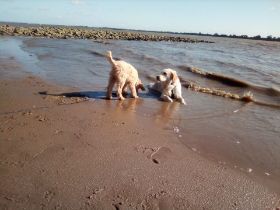 IMG_20190512_171030.jpg