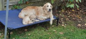 20201119_105737_resized.jpg